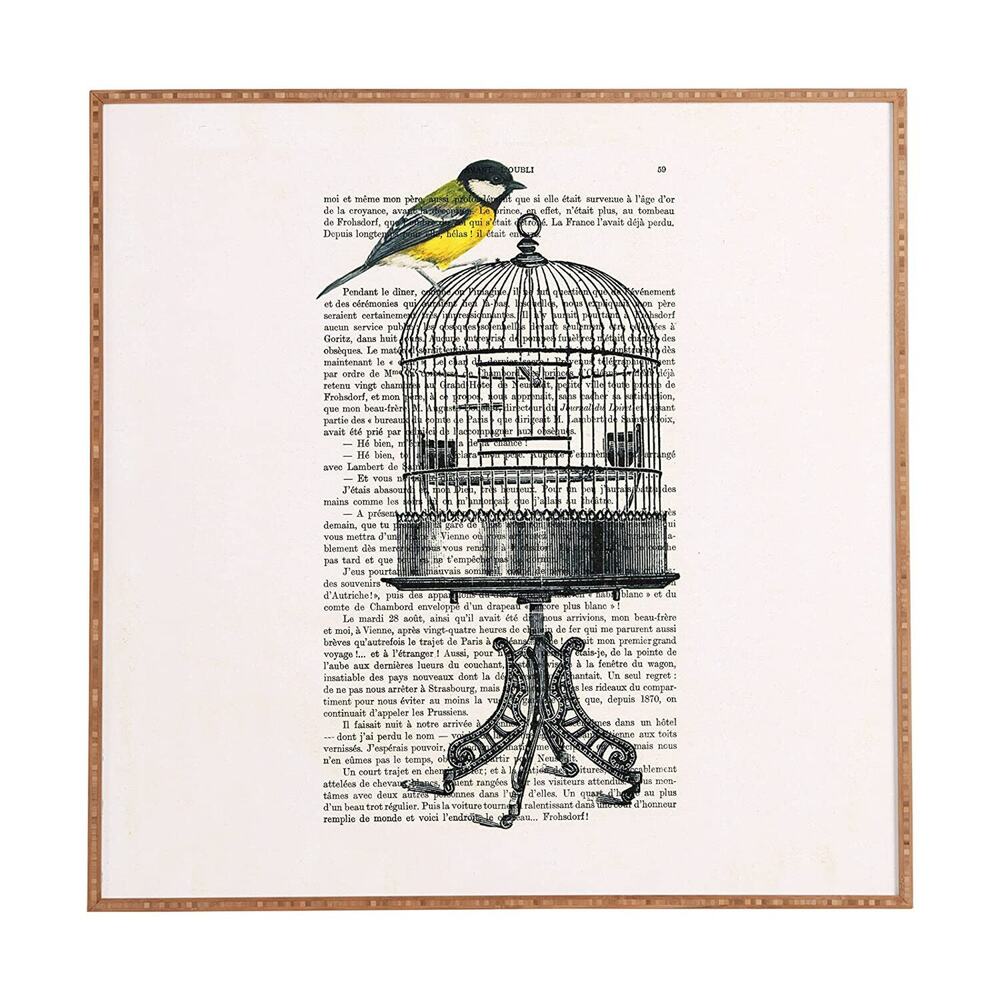 Deny Designs Coco De Paris, Bird On Birdcage, Framed Wall Art, Small, 12"x 12"